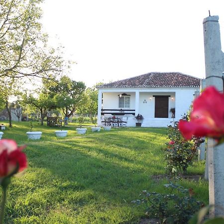 "Per Mik" Cottage In Vineyard Шкодер Экстерьер фото