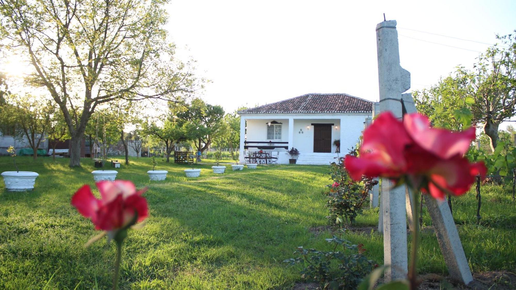 "Per Mik" Cottage In Vineyard Шкодер Экстерьер фото
