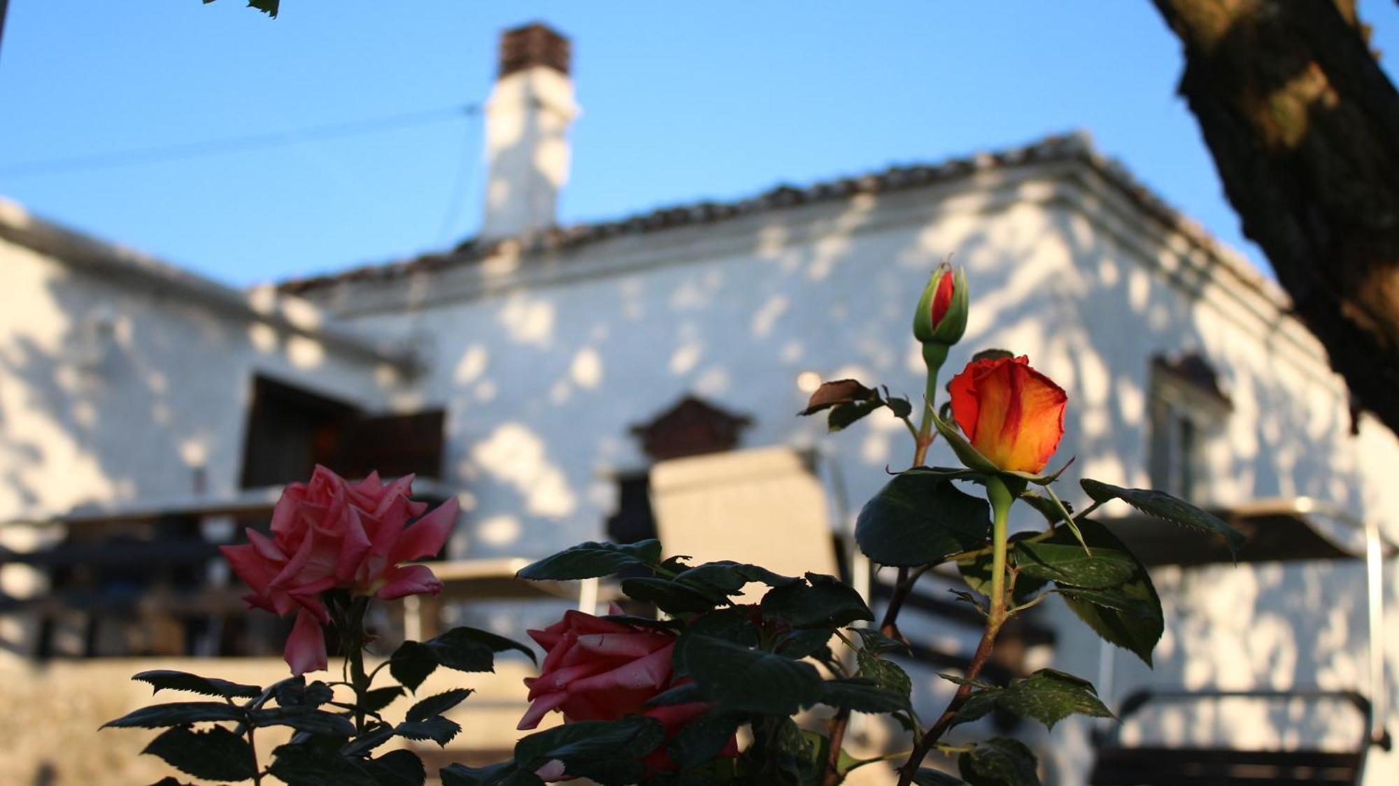 "Per Mik" Cottage In Vineyard Шкодер Экстерьер фото